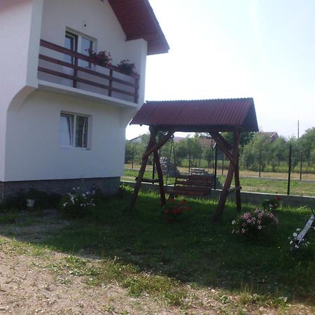 Pension Ioana Lavita Vadu Izei Εξωτερικό φωτογραφία