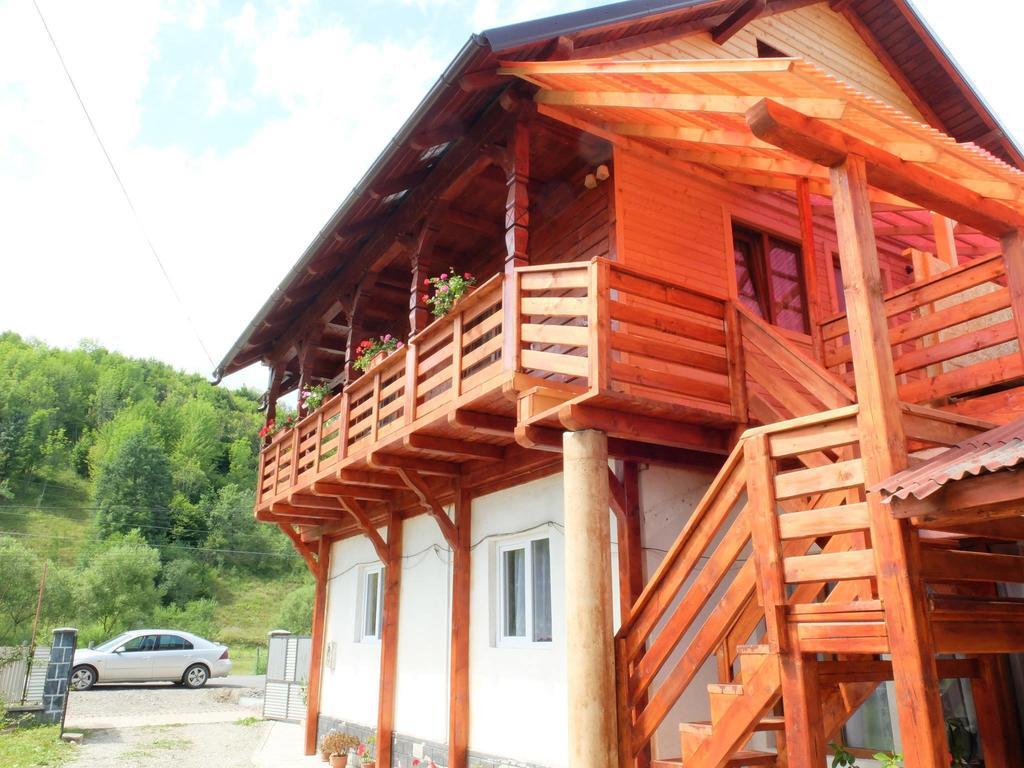 Pension Ioana Lavita Vadu Izei Εξωτερικό φωτογραφία