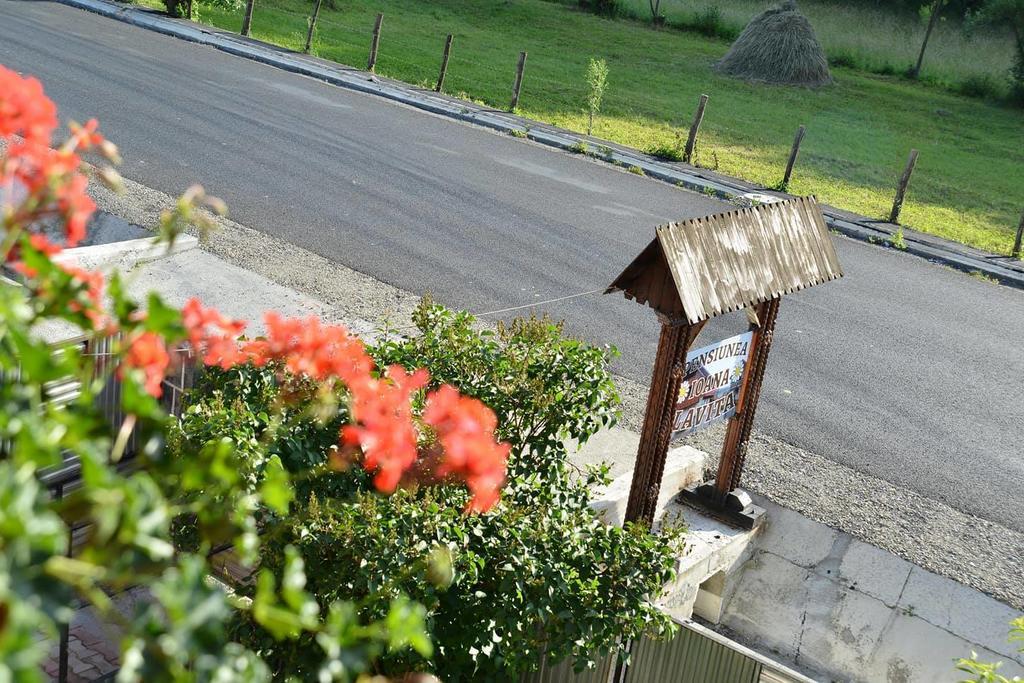 Pension Ioana Lavita Vadu Izei Εξωτερικό φωτογραφία
